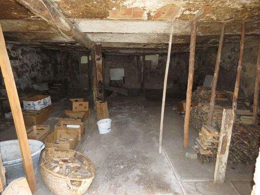 ehemaliger Stall mit Gewölbe   