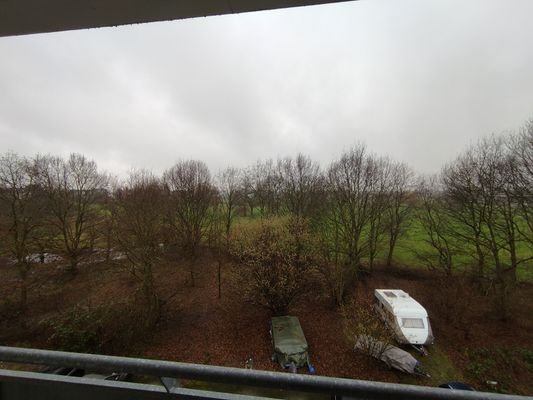 Fernblick