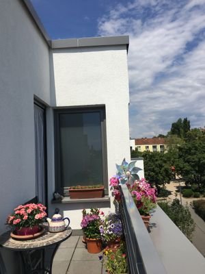 3-Roof terrace.JPG