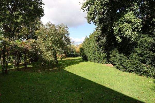 Garten mit altem Baumbestand (potenzieller Bauplatz)
