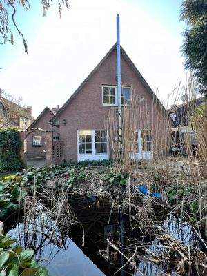 naturnaher Garten mit flachem Biotop