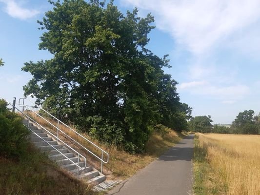 Treppe zum Elberadweg