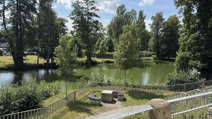 Blick durch das Seitentor - Natur trotz Stadtleben