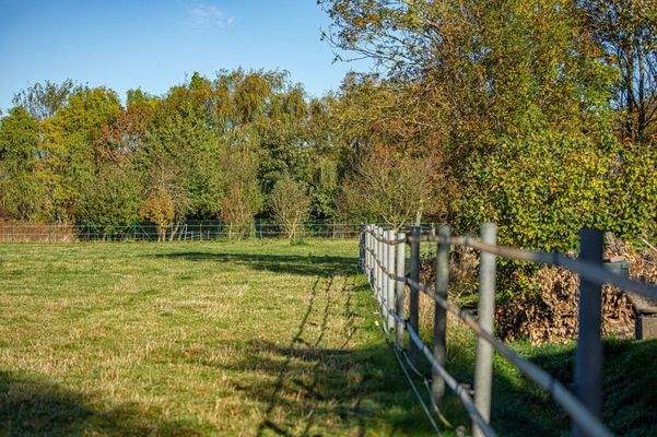 Pferdegerecht eingezäunt