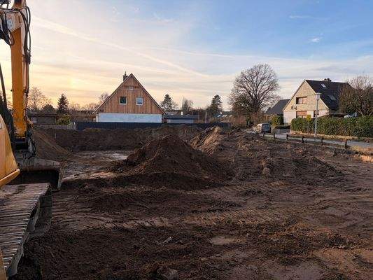 Das Grundstück in der Abendsonne
