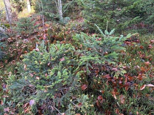 2025-11-05 10.43.15.jpg