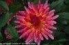 Bild 20