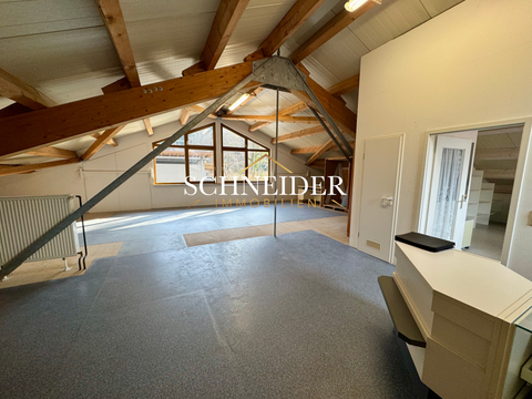 Schenkenzell Halle, Schenkenzell Hallenfläche