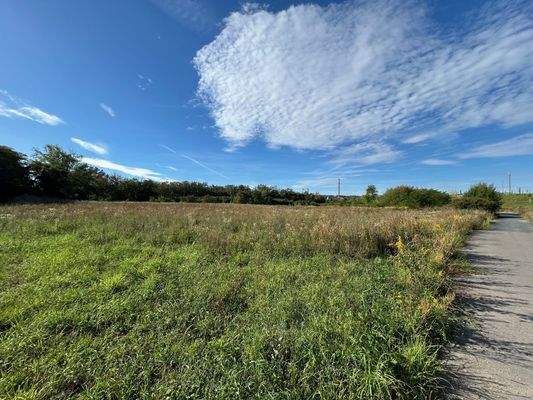 Nach der Schiffsmühle - Bild 1.jpg