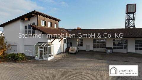 Weiden Halle, Weiden Hallenfläche