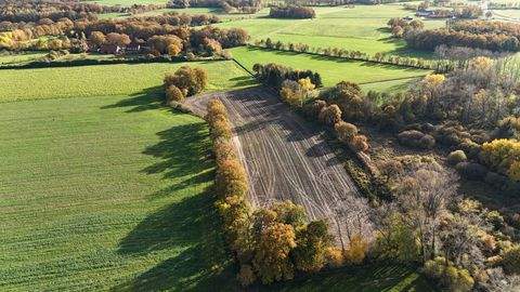 Bad Bentheim / Gildehaus Bauernhöfe, Landwirtschaft, Bad Bentheim / Gildehaus Forstwirtschaft