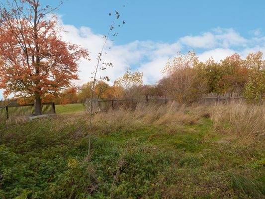 Blick ins Grundstück