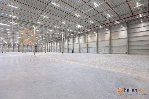 Neustadt bei Coburg Halle, Neustadt bei Coburg Hallenfläche