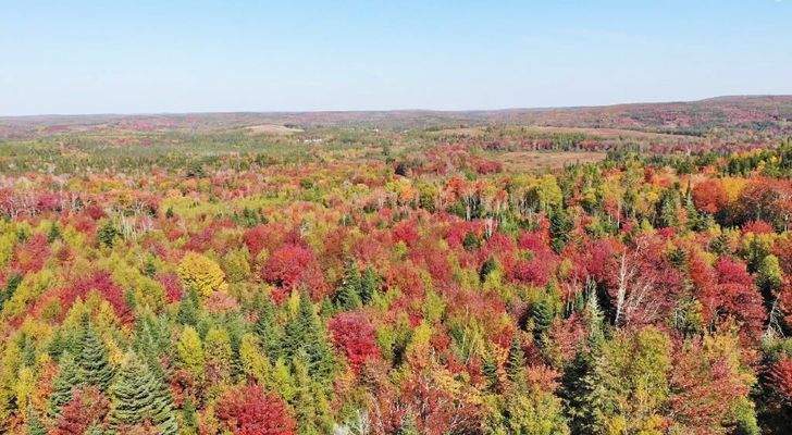 Nova Scotia - West Side Country Harbour - 52-Hekta