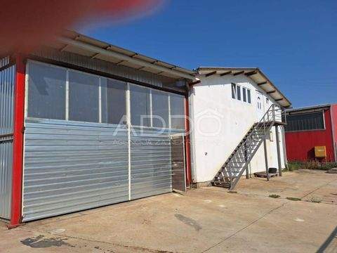 Belisce Halle, Belisce Hallenfläche