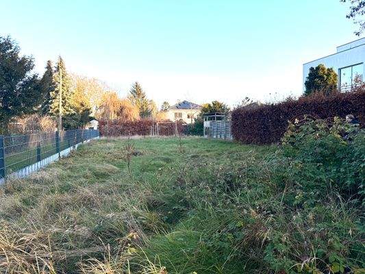 Platz für Ihr Traumhaus