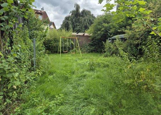 Garten 2.jpeg