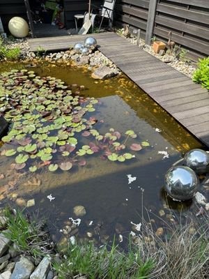 Teich 2