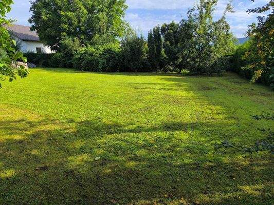 1. Reihe zum Treppelweg, sonnig und ruhig!