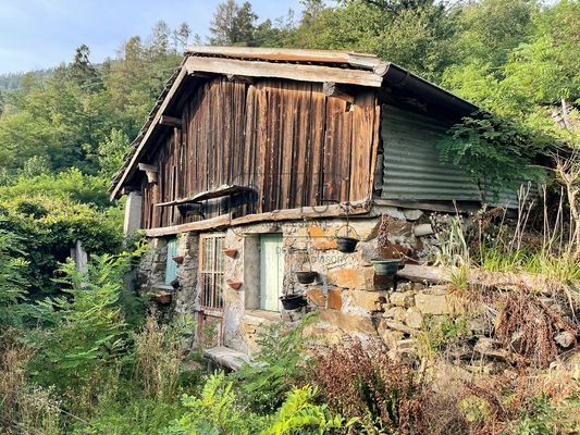 Projektentwicklung: Bergchalet in Alleinlage mit Panoramablick in Levico Terme