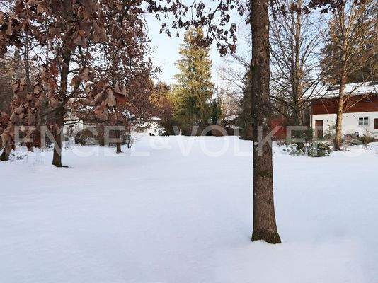 Grundstück vorne mit Altbestand