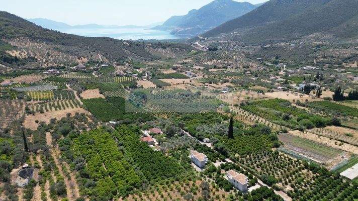 img_5ebeaa77-78b1-46e3-a061-5322d90a99be