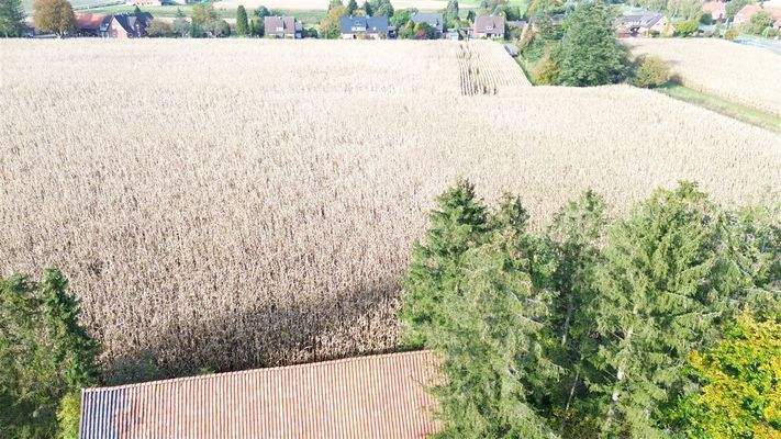 arronierte Ackerflächen