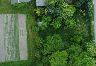 Bauland Martenshagen