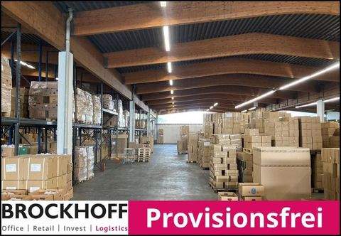 Haan Halle, Haan Hallenfläche