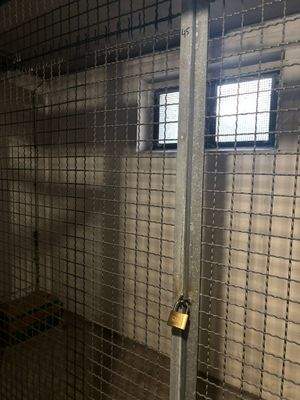 WhatsApp Image 2025-11-14 at 17.31.10 (4)