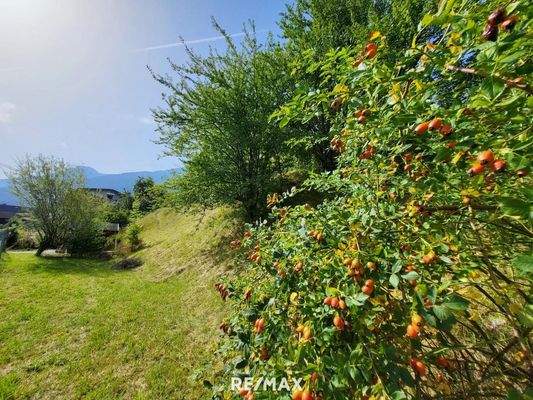 Impression Grundstück