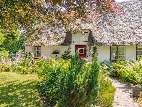 Hörup Häuser, Hörup Haus kaufen