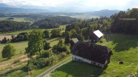 Poggersdorf Bauernhöfe, Landwirtschaft, Poggersdorf Forstwirtschaft