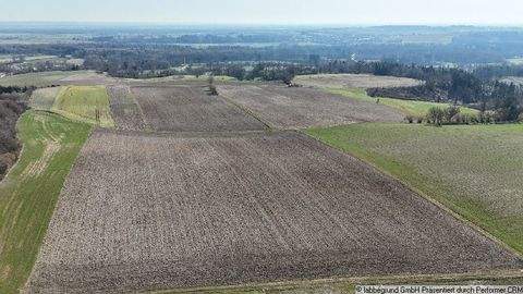 Haag an der Amper Bauernhöfe, Landwirtschaft, Haag an der Amper Forstwirtschaft