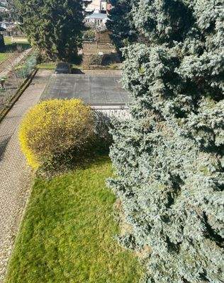 Ausblick in den Garten