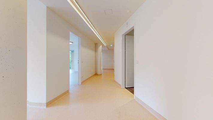 Vitalhub-Ordi-1OG-09262024_144345