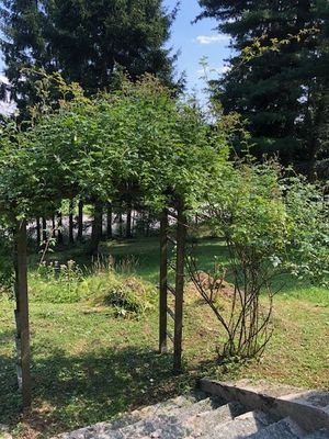 Gartendetail II