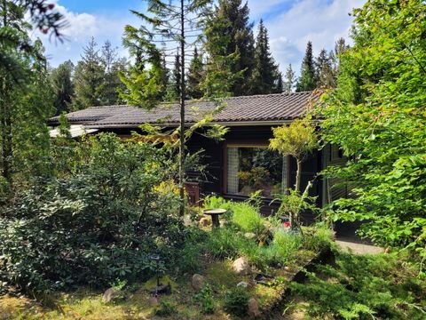 Bad Bodenteich Häuser, Bad Bodenteich Haus kaufen