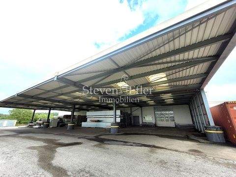 Roßtal Halle, Roßtal Hallenfläche