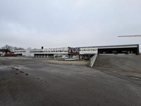 Hannover Halle, Hannover Hallenfläche