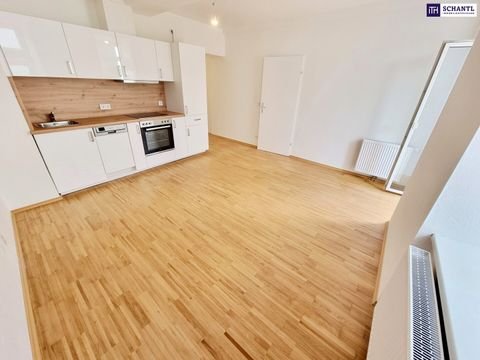 Wien Wohnungen, Wien Wohnung kaufen