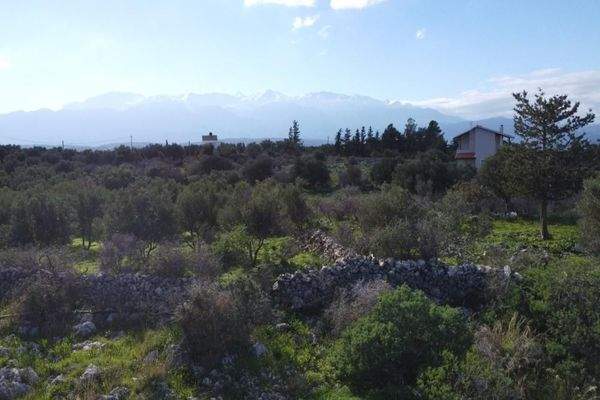 Kreta, Kokkino Chorio: Landschaftlich reizvolles Grundstück mit Meerblick zu verkaufen