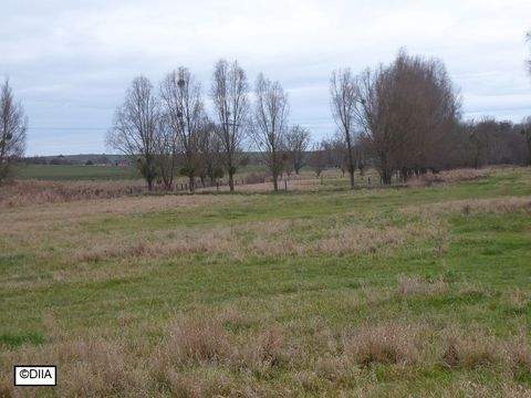 Magdeburg Grundstücke, Magdeburg Grundstück kaufen