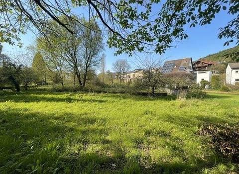 Hauenstein Häuser, Hauenstein Haus kaufen