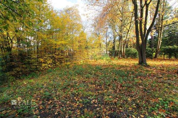Viel Platz für Ihr Traumhaus