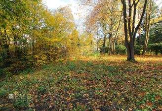 Viel Platz für Ihr Traumhaus