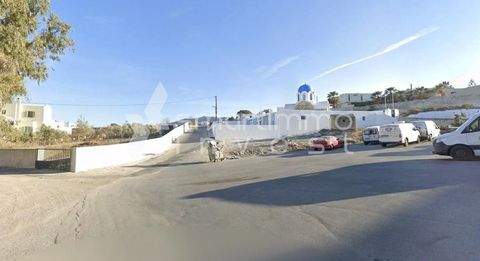 Mesaria, Santorini - Thira Bauernhöfe, Landwirtschaft, Mesaria, Santorini - Thira Forstwirtschaft