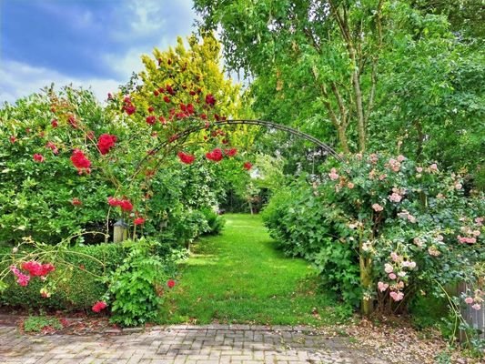 Ziergartenbereich