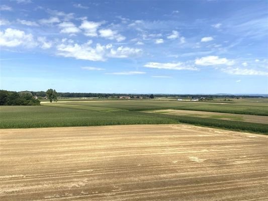 Blick gen Norden (vom Treppenhaus)