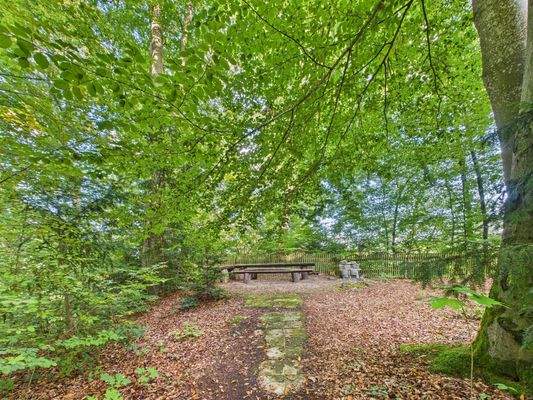 Waldgrundstück an der Isar
